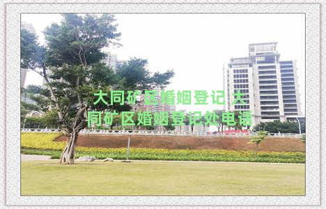 大同矿区婚姻登记 大同矿区婚姻登记处电话